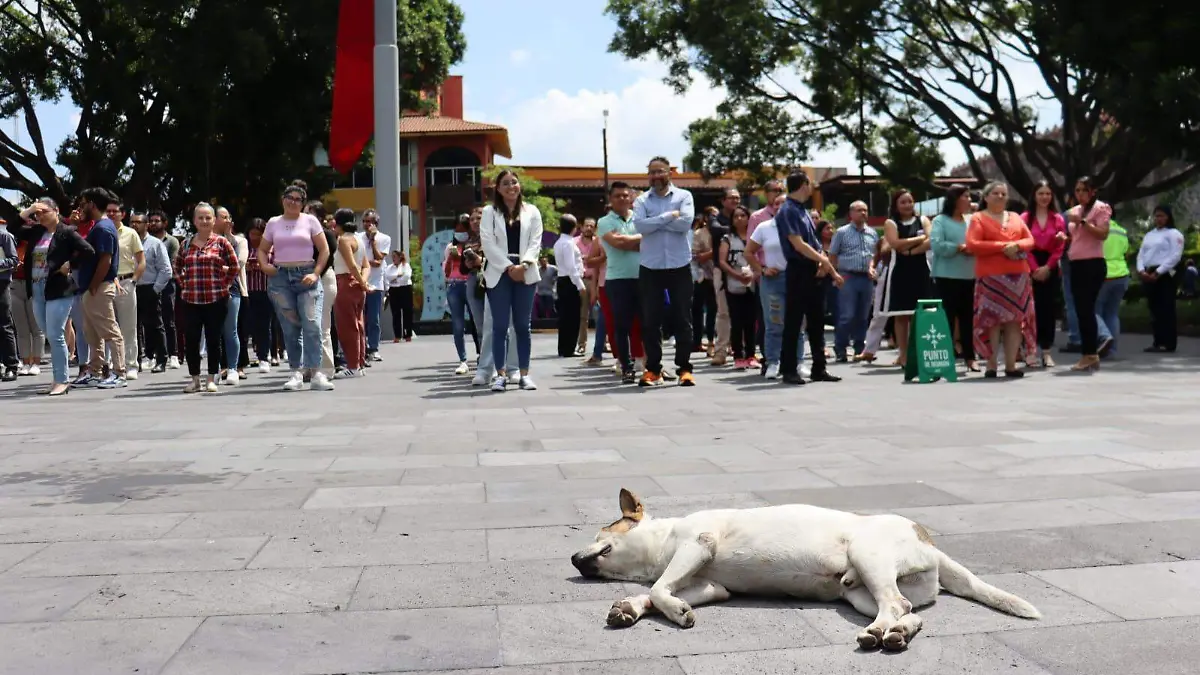 simulacro 2024 plaza de armas